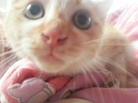 Bez ime